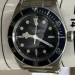 チューダー　ブラックベイ　79030B